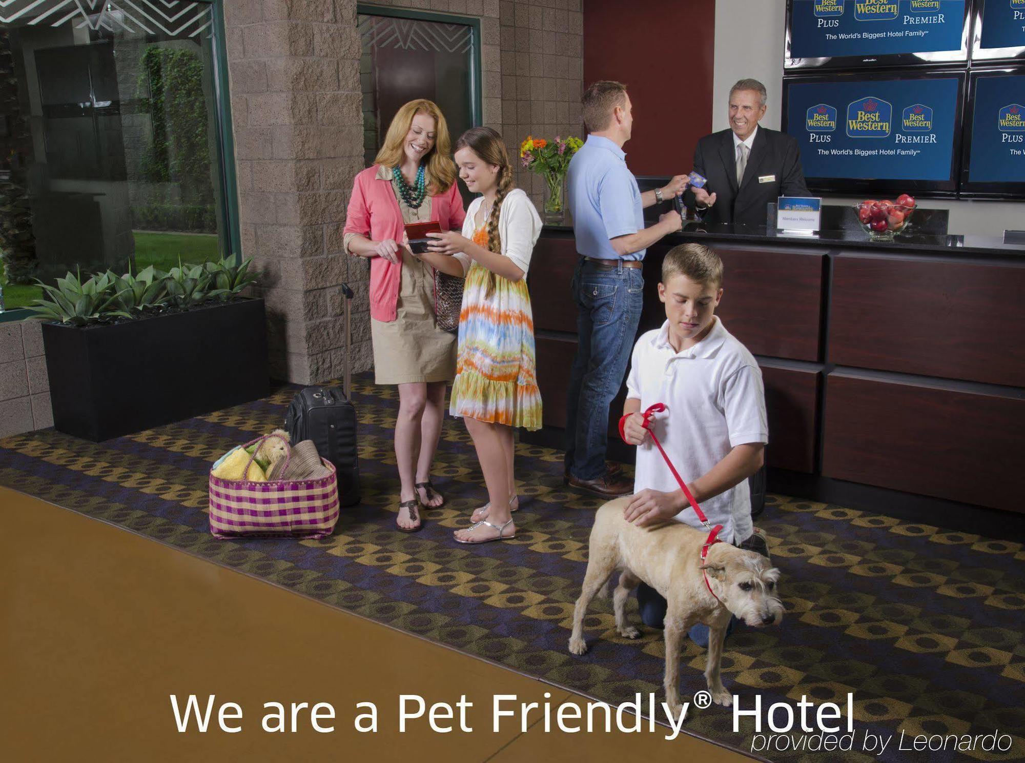 Best Western Plus Waltham Boston Екстер'єр фото